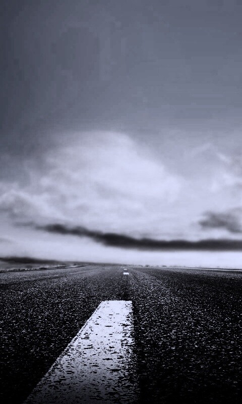 Дорога обои