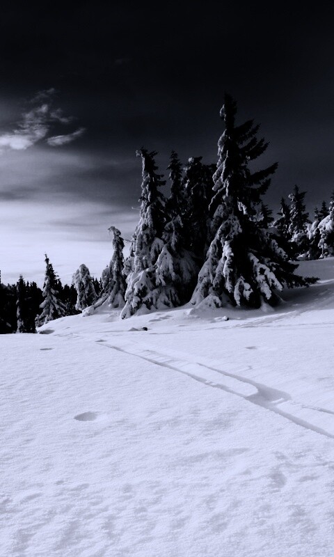 Зимние просторы обои