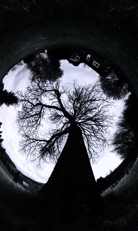 Другой взгляд на мир обои