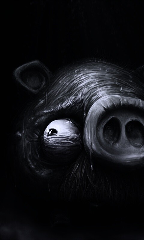 Свинья из Angry Birds обои