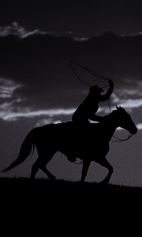 Силуэт ковбоя на закате обои