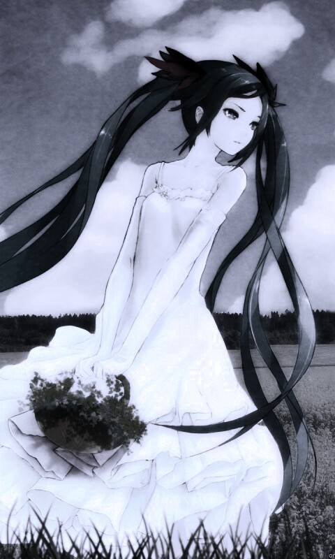 Хатсуне в поле обои