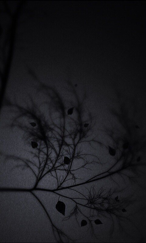 Это осень обои