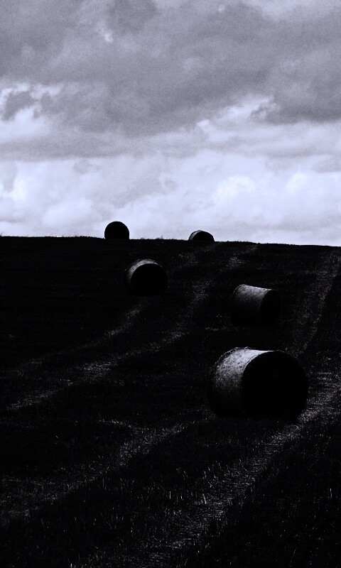 Уборка сена с поля обои