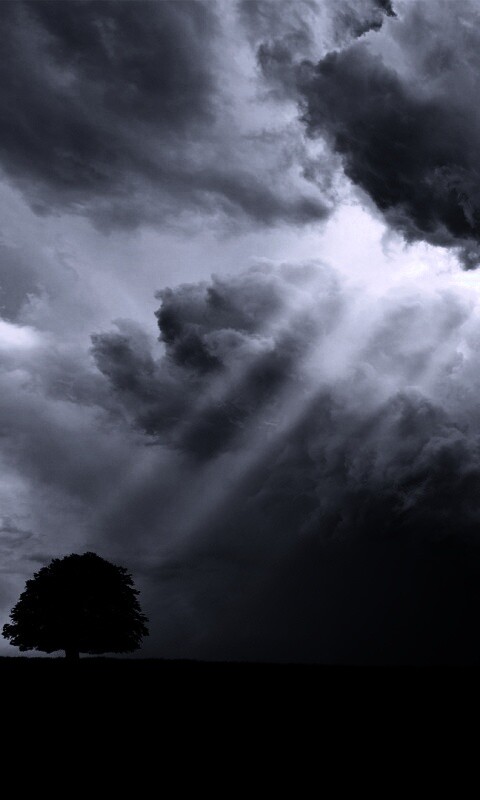 Избранный обои