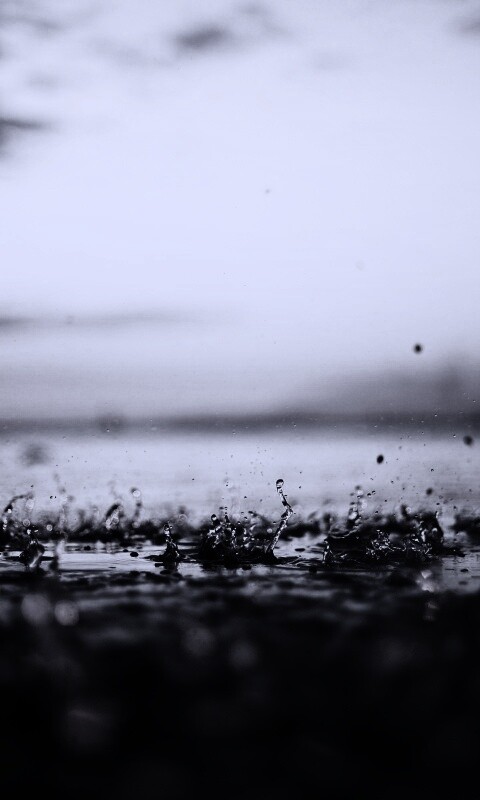 Дождь в макро обои
