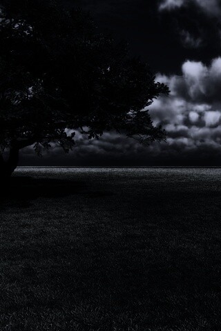 Зеленое поле обои