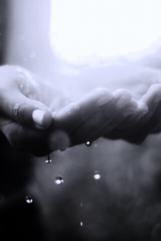 Дождь в ладонях обои