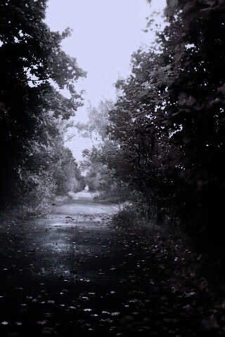 Желтая дорога обои