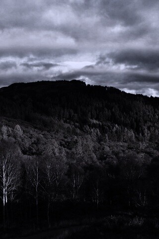 Золотая осень обои