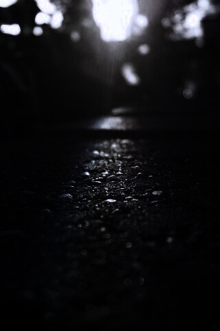 Макро радуга на камне обои