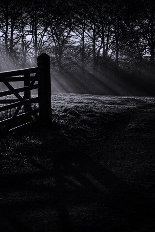 Открытые ворота обои