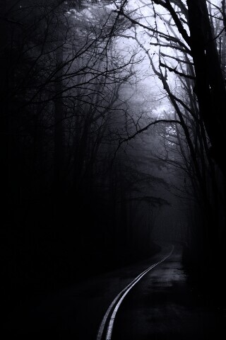 В туман обои