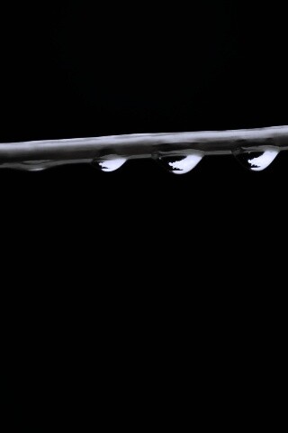 Капли на соломинке обои