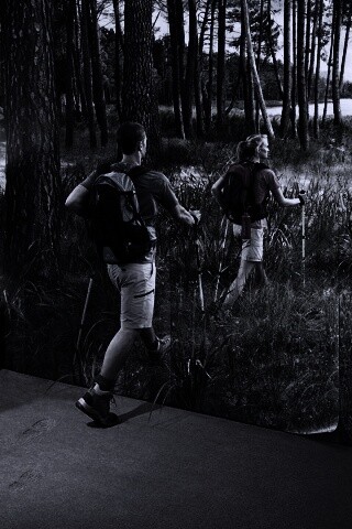 Реклама фотообоев обои