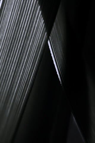 Травинки на свету обои