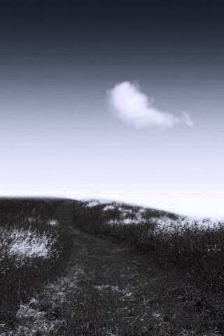 Золоте поле обои