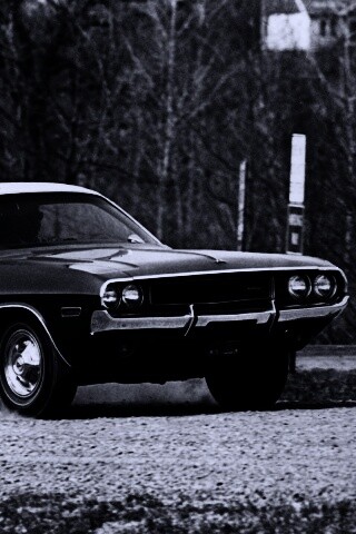 Черно-белое фото Dodge обои