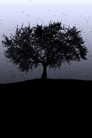 Черное дерево обои