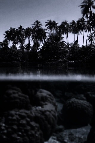 Из-под воды обои