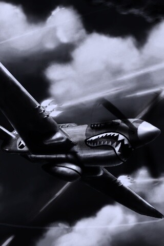 Истребитель акула обои