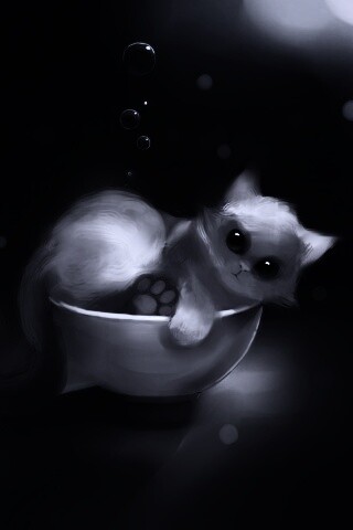 Котёнок в миске обои