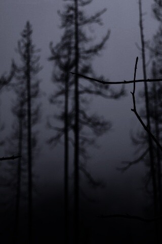 Безысходность обои