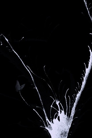 Абстракция из брызг обои