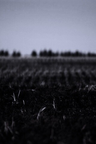 Поле перед вспашкой обои