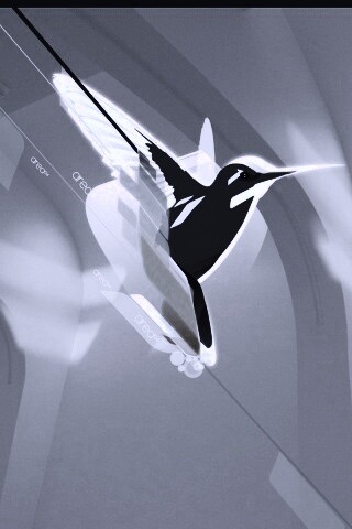 Логотип-колибри обои