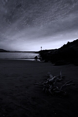 Коряга не берегу обои