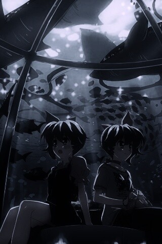 В океанариуме обои