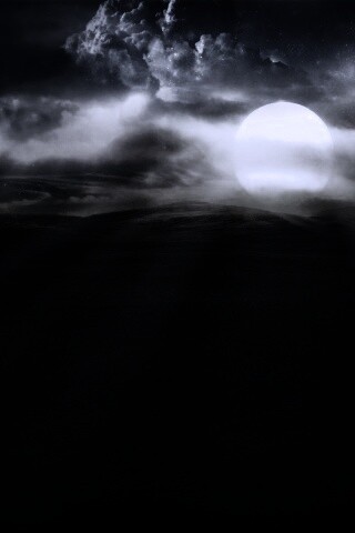 Белое солнце обои