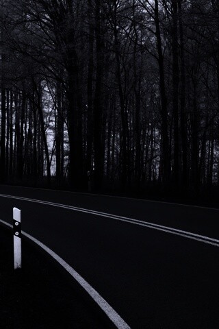 Дорога в осеннем лесу обои