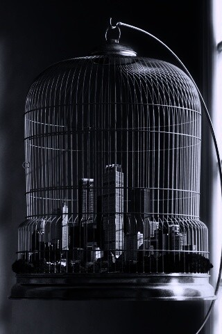 Город в клетке обои