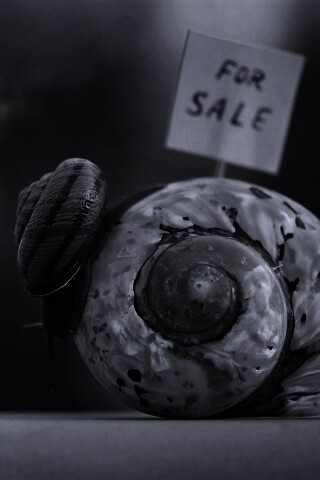 Улитка приматрвиает новый дом обои