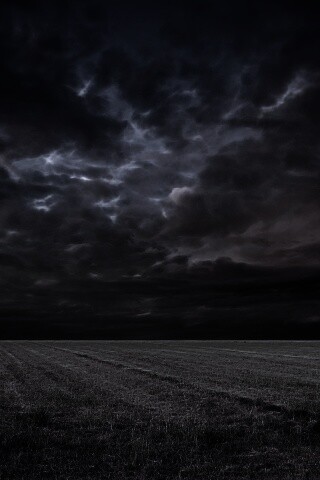 Тучи над желтым полем обои