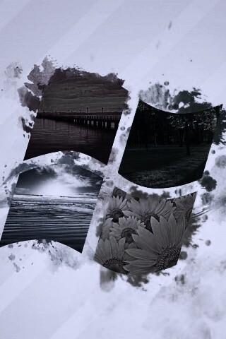 Логотип Winfdows bз фотографий природы обои