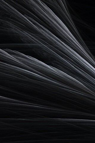 Прозрачные зеленоватые крылья обои