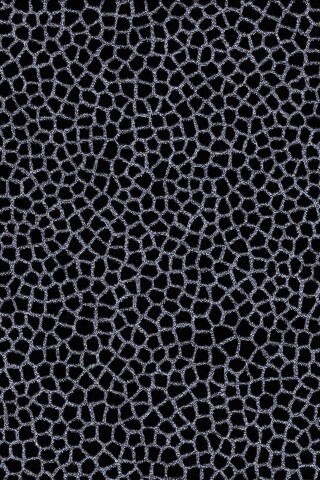 Текстура шкуры жирафа обои