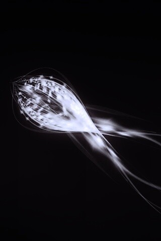 Сгусток красных линий обои