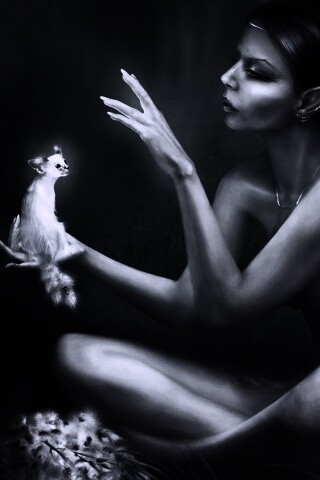 Почет и процветание обои