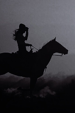 Наездница на закате обои