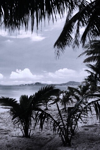 Настоящее лето обои