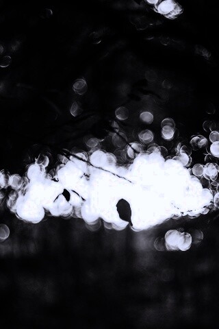 Размытый свет в парке обои