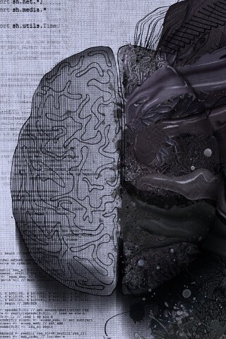 Различия левого и правого полушария обои