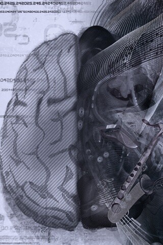 Левая и правая половина мозга обои