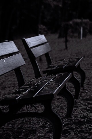 Лавочки в осеннем парке обои