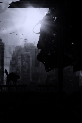 Кошкино удивление обои