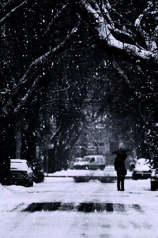 Зимняя улица обои